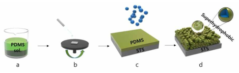 초소수성 PDMS 코팅의 공정