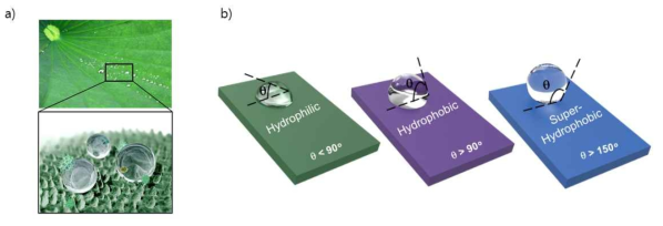 연꽃잎 위의 물방울의 거동 및 연꽃잎 표면의 micro 구조(a), contact angle에 따른 hydrophobic의 정의(b)