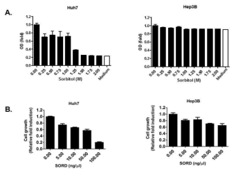 간암 세포별 Sorbitol과 human-SORD 재조합단백질 처리 결과