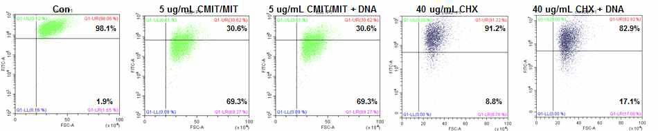 CMIT/MIT, CHX를 처리한 세포에서의 FDA staining