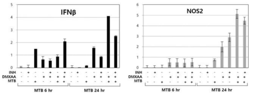 DMXAA, INH 처리 후 세포 내 interferon beta, NOS2 RNA 발현 측정 및 결핵균 제어 능력 상승 효과 분석
