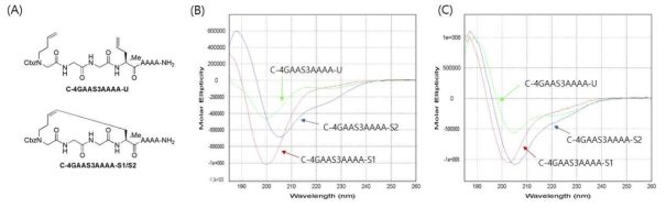 Polyalanine 모델 유도체의 서열(A)과 수용액(B) 및 50% trifluoroethanol 용액(C) 중에서의 circular dichroism spectra