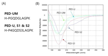 안과질환 치료활성 펩타이드 유도체의 서열(A)과 circular dichroism spectra(B)