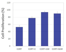 Cell proliferation on corticosterone induced PC-12 cells GABA in control wheat(C), germinated wheat(GW) and steamed GW(SGW)