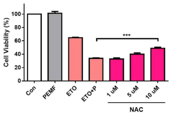 ROS 억제제(NAC) 처리 시, ETO와 PEMF 병용처리 시 감소했던 세포 생존도가 회복됨을 보여주는 결과