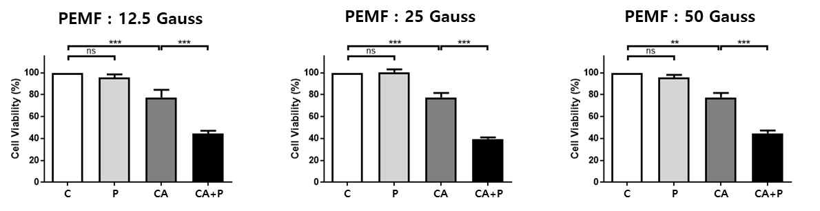 PEMF 세기(Gauss)에 따른 암세포의 증식억제/사멸증가 차이를 확인