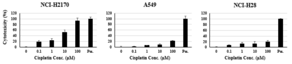 LDH분석을 이용한 cisplatin 세포독성 실험 결과