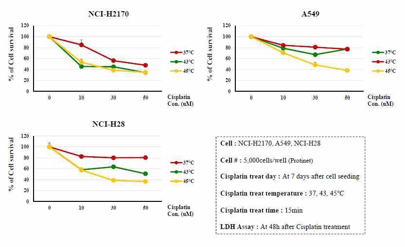 Cisplatin 조건실험 – 온도 (37, 43, 45도비교)
