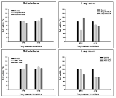 중피종과 폐선암의 환자유래 종양세포에서 cisplatin과 pemetrexed (PMX)에 대한 세포독성효과