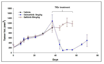 PDX 모델에서 Gefitinib과 Osimertinib의 항암효능