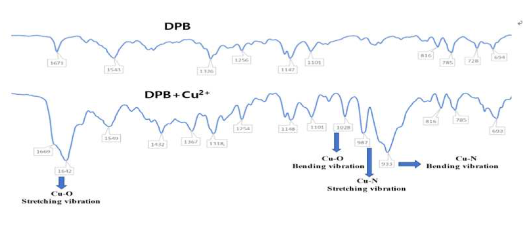 IR spectral changes after the Cu2+ complexation