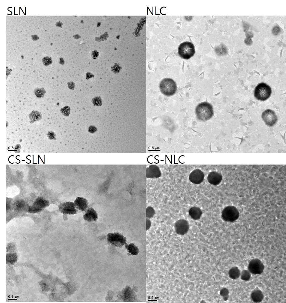 SLN, CS-SLN, NLC, CS-NLC TEM 사진