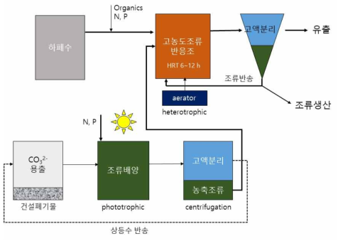 Phototrophic-heterotrophic 연속흐름식 하수처리공정 개통도