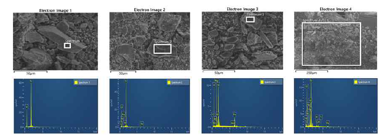 미분말에 대한 SEM-EDS 결과