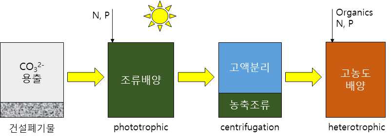 고농도 조류 배양 순서