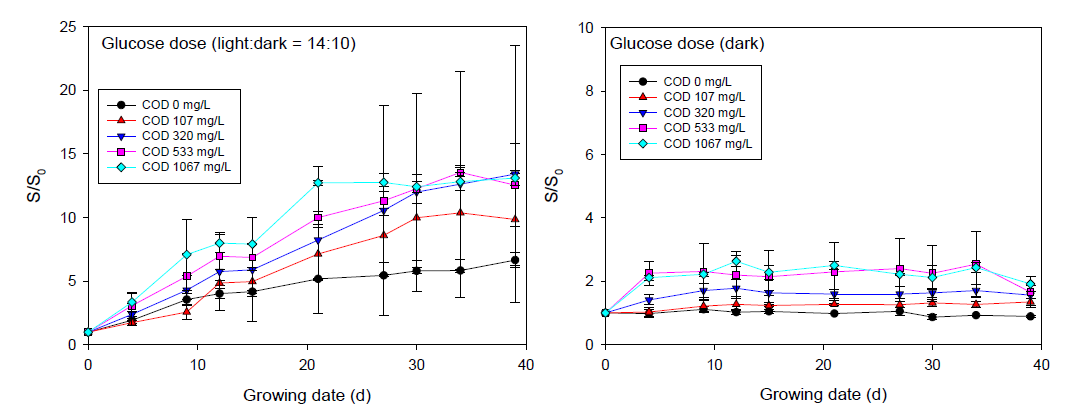 Glucose 주입량에 따른 명:암 (14:10) 조건 (좌)과 암 조건(우)에서의 성장된 조류비율