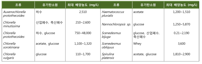 본 연구에 사용될 조류 후보종 (예, mixotrophic)