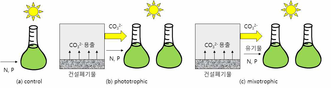 건설폐기물로부터 용출된 탄산염을 이용한 조류배양 기본실험