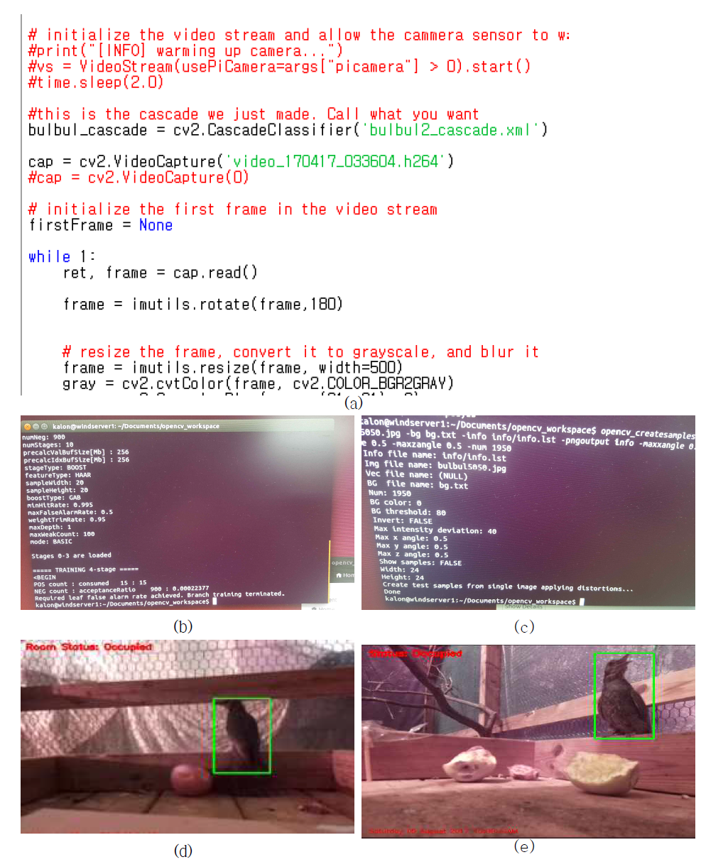 haar-based Learned Object Detection 기법. (a) hLOD 소스코드의 일부, (b) 직박구리를 학습하여 casecade 파일을 생성하는 화면, (c ) 직박구리 사진을 positive 이미지로 정의하는 화면, (d) hLOD 탐지기법으로 직박구리를 탐지한 화면1, (e) hLOD탐지기법으로 직박구리를 탐지한 화면2