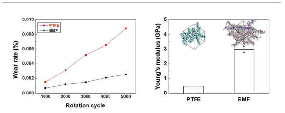 PTFE와 BMF의 마모율 평가 및 Young‘s modulus 비교