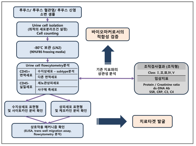 연구 추진전략