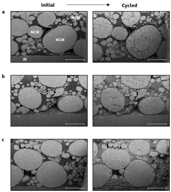 100 사이클 전/후 SEM BSE image (a) bare (b) 0.2 wt.% (c) 2 wt.%