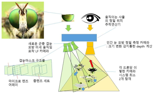 드론 군집을 효율적으로 형성할 수 있는 곤충 및 인체 눈 모방 카메라 시스템
