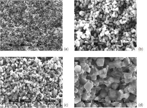 SEM micrographs of the fracture surface of LiTi2(PO4)3 sintered at various temperatures for 6 h. (a), (b) 900°C and (c), (d) 1000°C