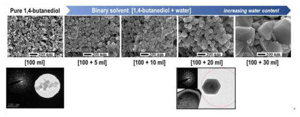 이성분 용매로 glycol process에 의해 합성된 ZnO 분말의 형태 변화에 대한 SEM 및 TEM 이미지