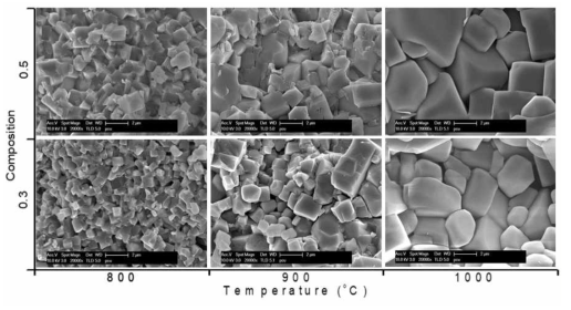 FE-SEM fracture surface images of LYTP (x=0.3 ,0.5) pellets sintered at various temperature for 6h