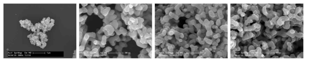 SEM images of SmFeO3 powders by polymer precursor methode. (heat-treated at 700℃ for 2h)