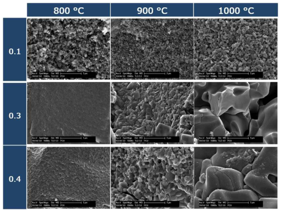 FE-SEM images of fractured surface of LGTP(x=0.1~04) sintered at various temperature for 6h