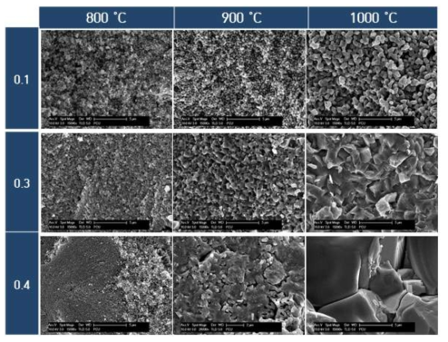 FE-SEM images of fractured surface of LFTP(x=0.1~04) sintered at various temperature for 6h