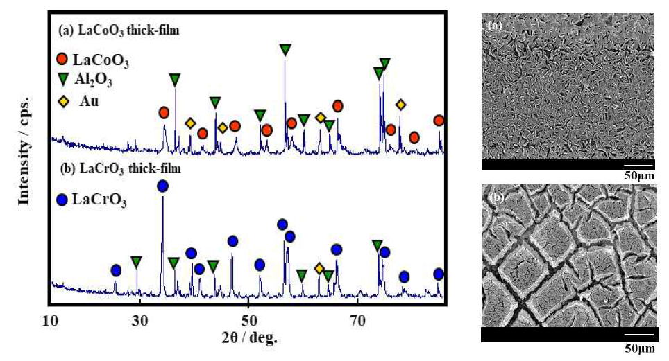 XRD patterns and SEM images of (a) LaCoO3 and (b) LaCrO3 thick-films