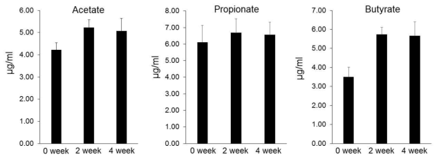 Metformin의 투여기간에 따른 SCFA의 혈청농도 변화. SCFA의 농도는 2주 후에 가장 높았고, 4주 후에는 2주간 투여한 효과와 유사한 상태를 유지하였다