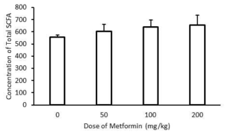 Metformin투여용량과 혈중 SCFA의 농도의 관계. Metformin을 경구투여 한 후 혈중 총 SCFA농도를 분석함. SCFA의 농도가 metformin용량 의존적으로 증가하였다