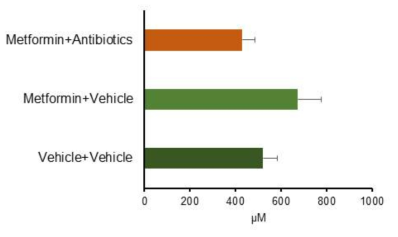 Antibiotics에 의한 metformin효과의 감소. 마우스에 vehicle, metformin+vehicle, metformin+antibiotics를 경구투여하였다. Metformin+Vehicle군에서 SCFA증가 효과를 확인하였으며, antibiotics를 metformin과 함께 투여할 경우 SCFA증가 효과가 감쇄되었다