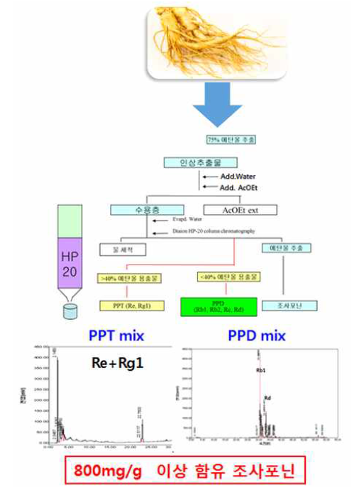 PPD, PPT Type 조사포닌 생산도