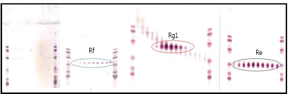 PPT Type 조사포닌 Silica 분리정제 TLC 분석