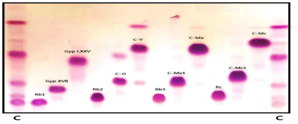 희귀 진세노사이드 전환 후 TLC 분석, C: control (Rb1, Rd, F2, C-K)
