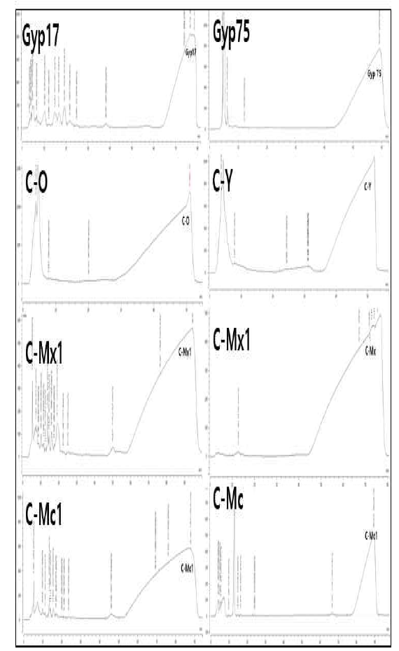 희귀 진세노사이드 Prep- HPLC 결과 Gyp17 : gypenoside XVII, Gyp 75: gypenoside LXXV, C-O : Compound-O, C-Y : Compound-Y, C-Mx1 : Compound-Mx1, C-Mx : Compound-Mx, C-Mc1 : Compound-Mc1, C-Mc : Compound-Mc