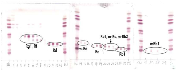 Silica 분취 결과. chloroform:Methanol:water 80:20:2 (1~15) Chloroform:Methanol:water 75:25:2.5 (16~25) 용매비 및 Chloroform:Methanol:water 70:30:3 의 용매비 (26~29)
