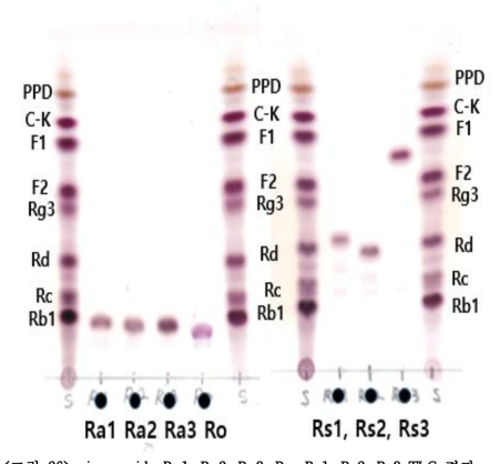 ginsenoside Ra1, Ra2, Ra3, Ro, Rs1, Rs2, Rs3 TLC 결과