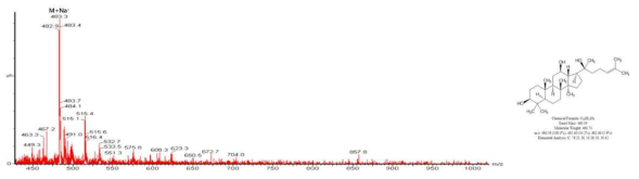 Ginsenoside Protopanaxadiol(PPD) LC/MS 분석 결과