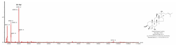 Ginsenoside Protopanaxatriol(PPT) LC/MS 분석 결과