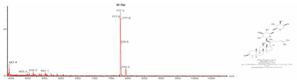 Ginsenoside C-Y LC/MS 분석 결과