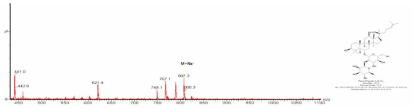 Ginsenoside Rg2(R) LC/MS 분석 결과