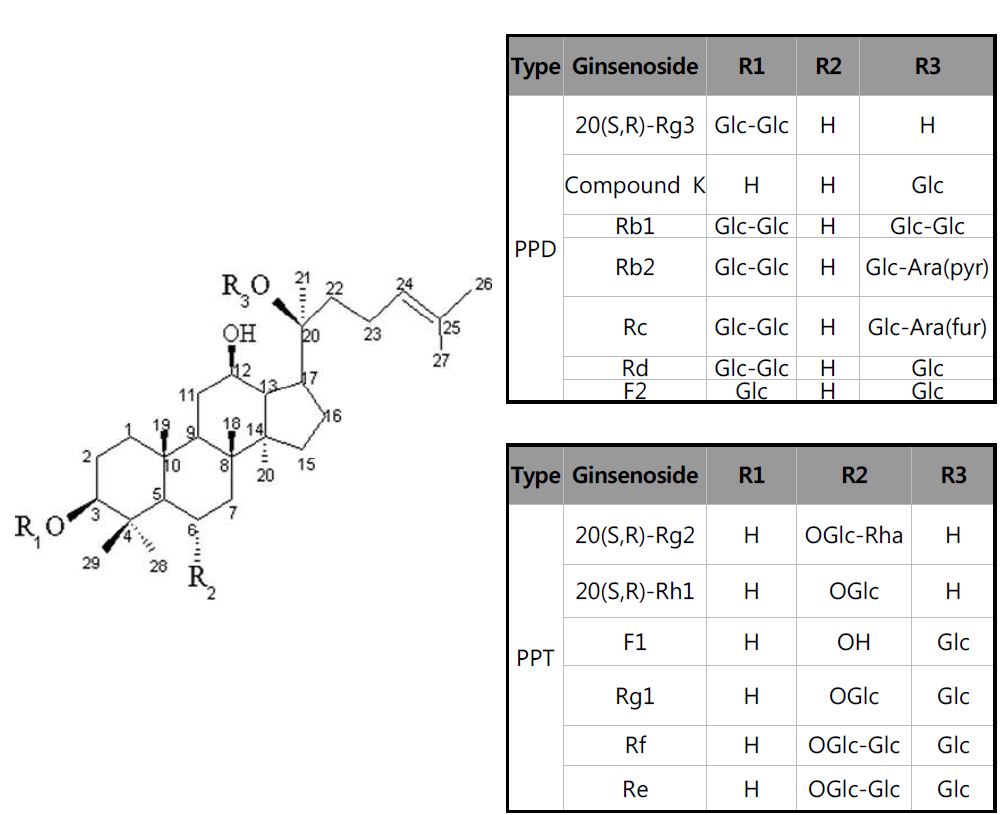 PPD, PPT Type ginsenoside 구조