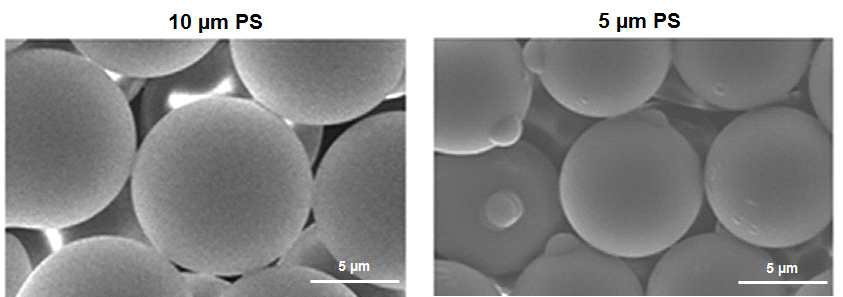 SEM images of PS microplastics