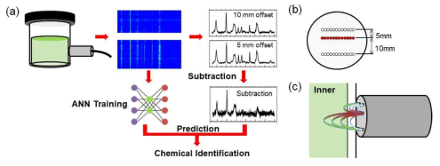 (a) 장투과 라만 프로브를 이용한 용기 내 숨겨진 화학물질의 예측/분류를 위한 인공신경망 시스템의 모식도 (b) 이중 오프셋 장투과 라만 프로브의 헤드 (c) 이중 오프셋 라만 검출의 모식도